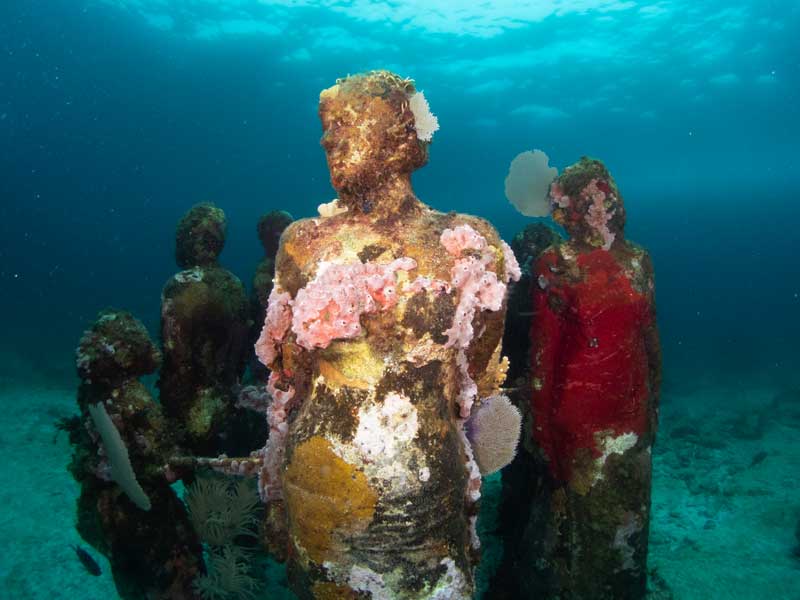 Intentional artificial reef formed on a a stone art piece